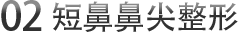 02 短鼻鼻尖整形