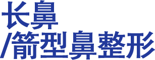 长鼻/箭型鼻整形