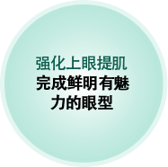 强化上眼提肌 完成鲜明有魅 力的眼型