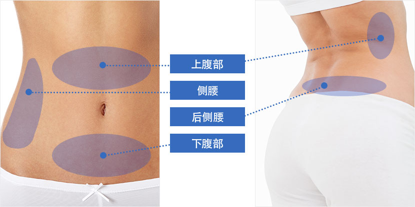 上腹部, 侧腰, 后侧腰, 下腹部