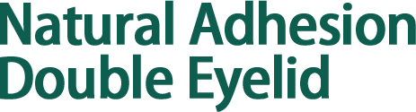 Natural Adhesion Double Eyelid